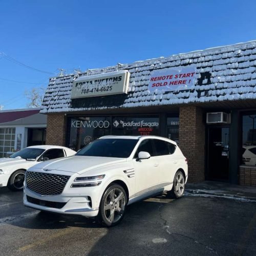 Polarizado forza customs (3)